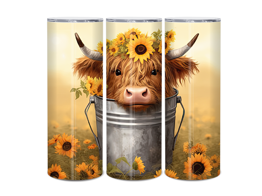 20oz Highland Cow long hair in bucket